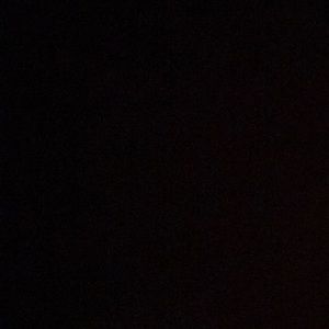 Meet your Posher, Sophia